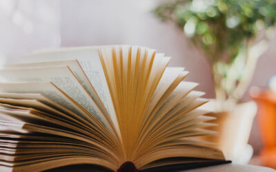 Reseña de Priscila Farrujia